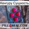 Кенгуру Сущность 13